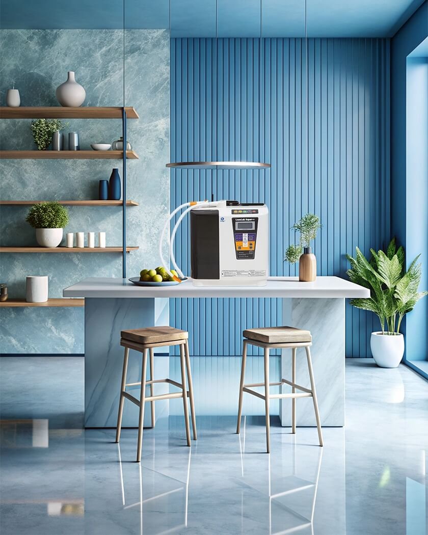 Leveluk_Super501_kitchen_interior