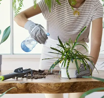 Nutrisi Tanaman Perawatan Hewan untuk kesuburan botani.